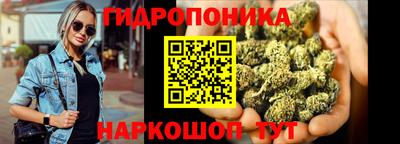 соль ск Лесосибирск