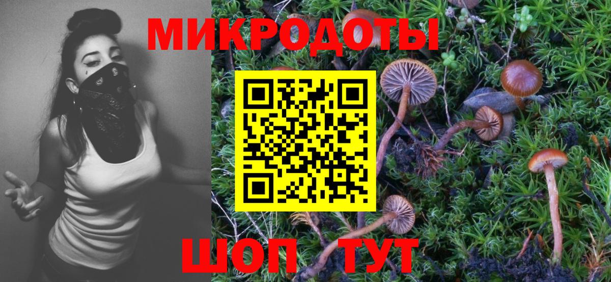 Псилоцибиновые грибы мухоморы Черкесск